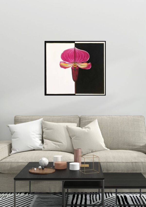 Orquídea Paphiopedilum r. - Image 2