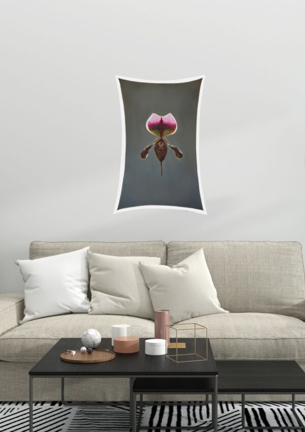 Orquídea Paphiopedilum r.01 - Image 2