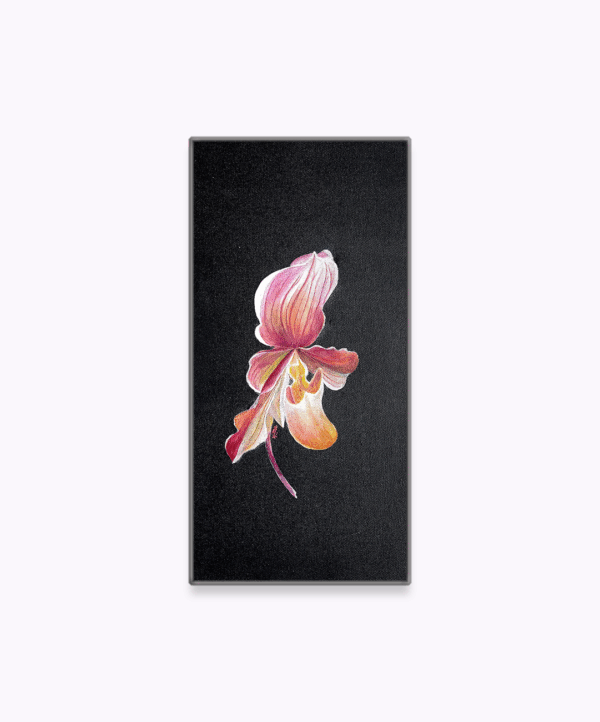 OD-S 02 - Image 3