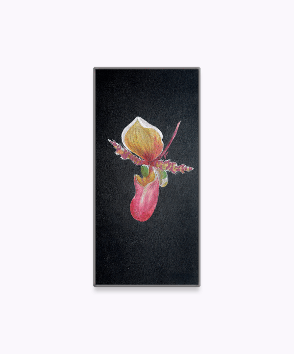 OD-S 01 - Image 3