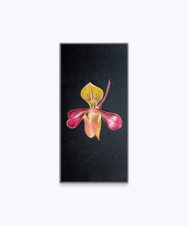 OD-S 03 - Image 3