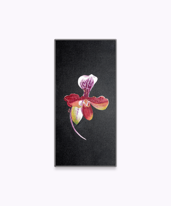 OD-S 03 - Image 3