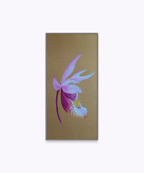 OD-S 01 - Image 3