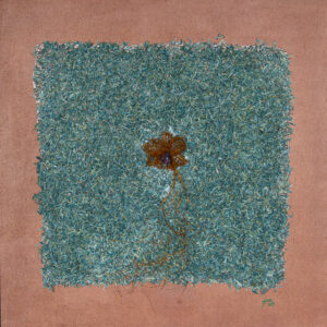 Genesis's Orchid in Cash