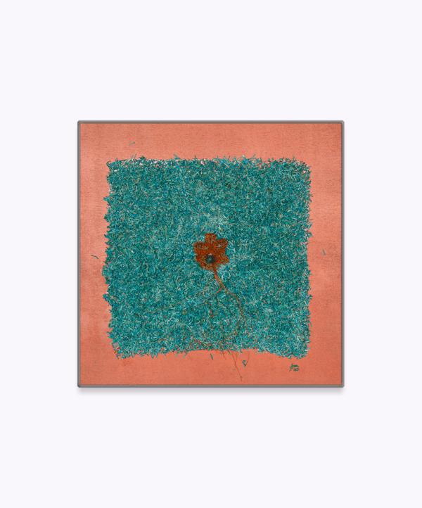 Genesis's Orchid in Cash - Image 3