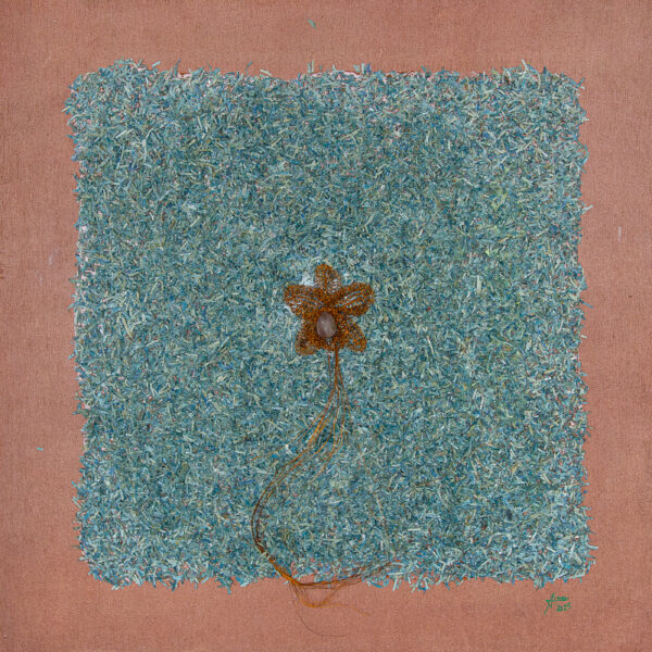 Genesis's Orchid in Cash