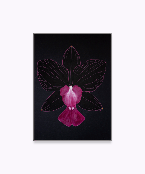Orquídea Cattleya - Image 3