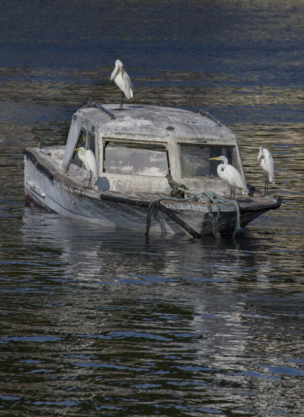 Abandonado I