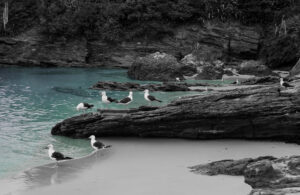 Buzios II