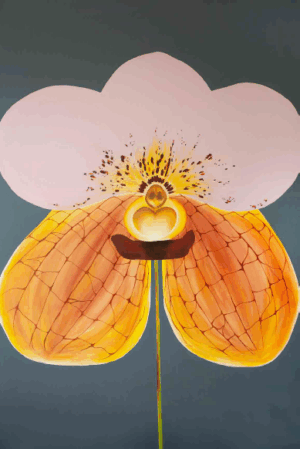 Orquídea Vandeae 02
