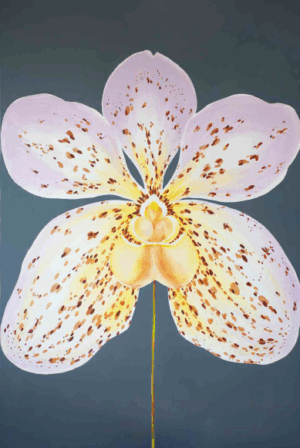 Orquídea Vandeae 03
